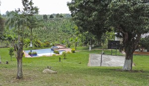 Finca La Esperanza